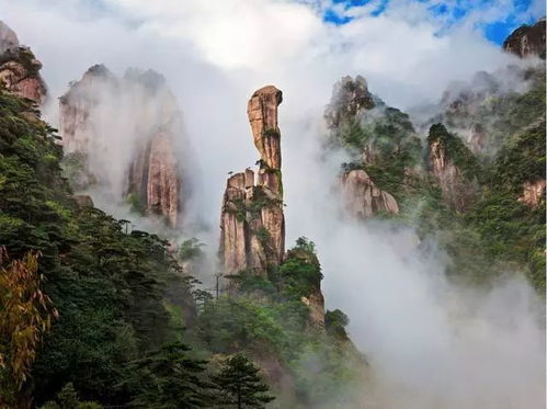 經驗參考丨淺析旅游景區運營管理 旅游景點建設運營